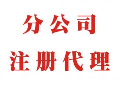 深圳分公司注册所需资料及注意事项