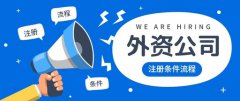 2019年外资企业工商年检有哪些流程呢？