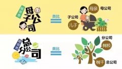 深圳总公司与分公司、母公司与子公司的关系